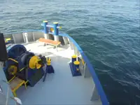 Kühlschiff zu verkaufen