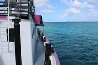 General Cargo/Multi-purpose zu verkaufen