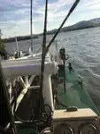 Bagger zu verkaufen