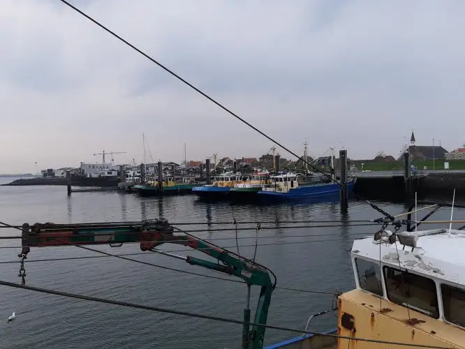 Trawler zu verkaufen