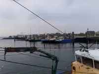 Trawler zu verkaufen