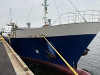 General Cargo/Multi-purpose zu verkaufen