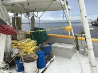 Trawler zu verkaufen