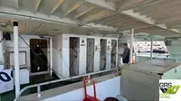 Kreuzfahrtschiff zu verkaufen
