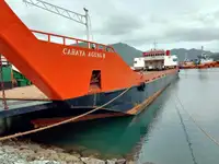 Landungsboot, Tank zu verkaufen