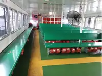 Fährschiff zu verkaufen