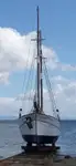 Fährschiff zu verkaufen