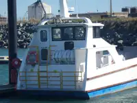 Landungsboot, Tank zu verkaufen