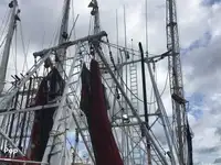 Trawler zu verkaufen