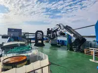Schleppboot zu verkaufen