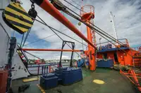 Containerschiff zu verkaufen