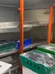 Kreuzfahrtfähre zu verkaufen