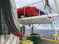 Trawler zu verkaufen