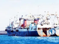 Trawler zu verkaufen