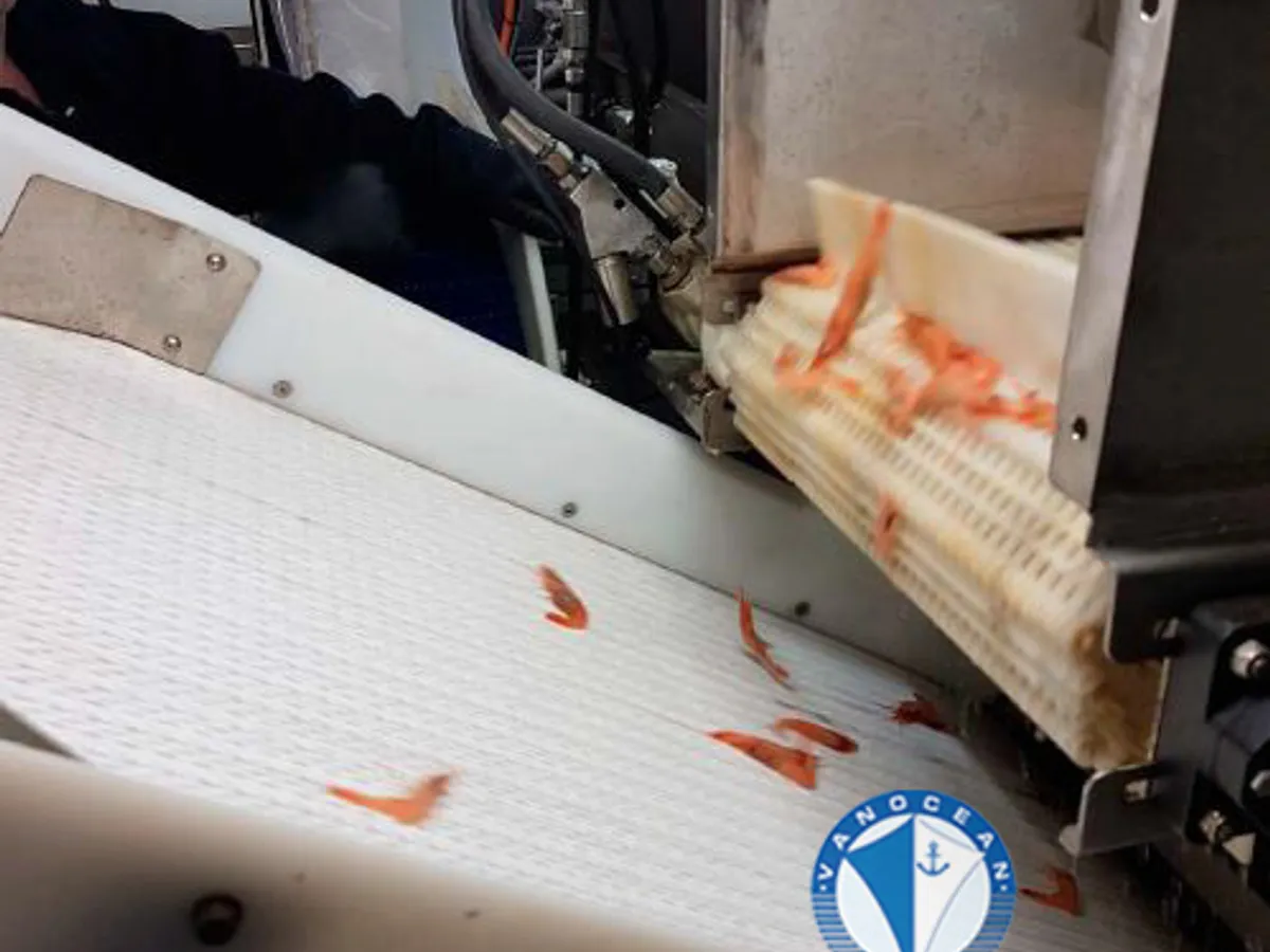 Trawler zu verkaufen