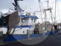 Beam-Trawler zu verkaufen