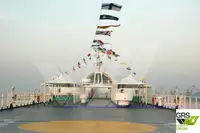 Ro-Ro-Schiff zu verkaufen