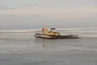 Schleppboot zu verkaufen