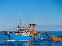 Trawler zu verkaufen