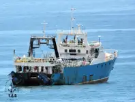 Trawler zu verkaufen
