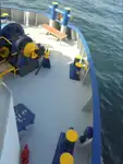 Kühlschiff zu verkaufen