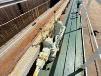 General Cargo/Multi-purpose zu verkaufen