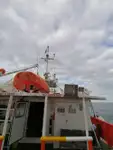 Crew-Boot zu verkaufen