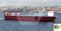Ro-Ro ship zu verkaufen