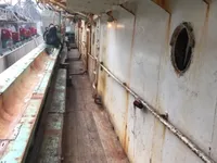 Tintenfisch-Jigger zu verkaufen