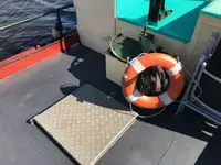 Schleppboot zu verkaufen