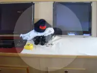 Trawler zu verkaufen