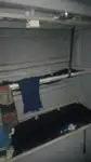 Patrouillenboot zu verkaufen