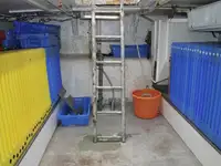 Trawler zu verkaufen