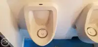 Katamaran zu verkaufen
