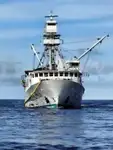 Purse-Seiner zu verkaufen