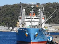 Kühlschiff zu verkaufen
