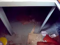 Schleppboot zu verkaufen