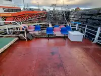 Kreuzfahrtschiff zu verkaufen
