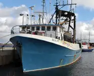Purse-Seiner zu verkaufen