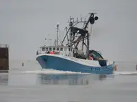 Purse-Seiner zu verkaufen