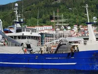 Purse-Seiner zu verkaufen