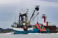 Purse-Seiner zu verkaufen
