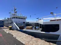 Trawler zu verkaufen