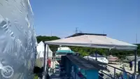 Containerschiff zu verkaufen