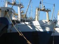 Trawler zu verkaufen