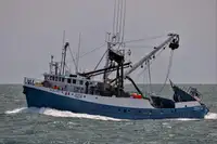 Purse-Seiner zu verkaufen