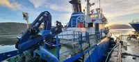 Schleppboot zu verkaufen