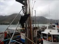 Trawler zu verkaufen