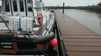 Lotsenboot zu verkaufen