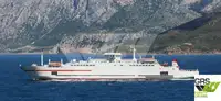 Ro-Ro-Schiff zu verkaufen